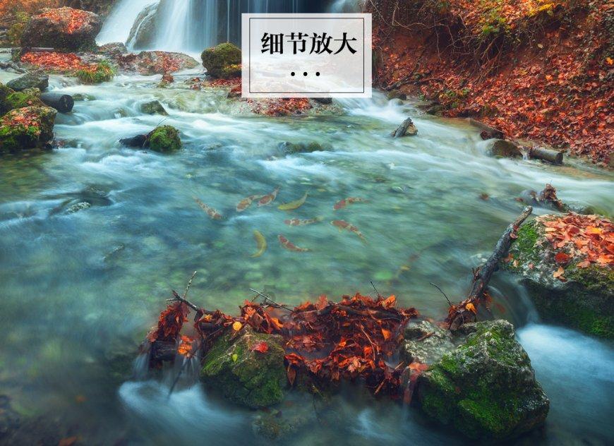 超奥特曼格斗