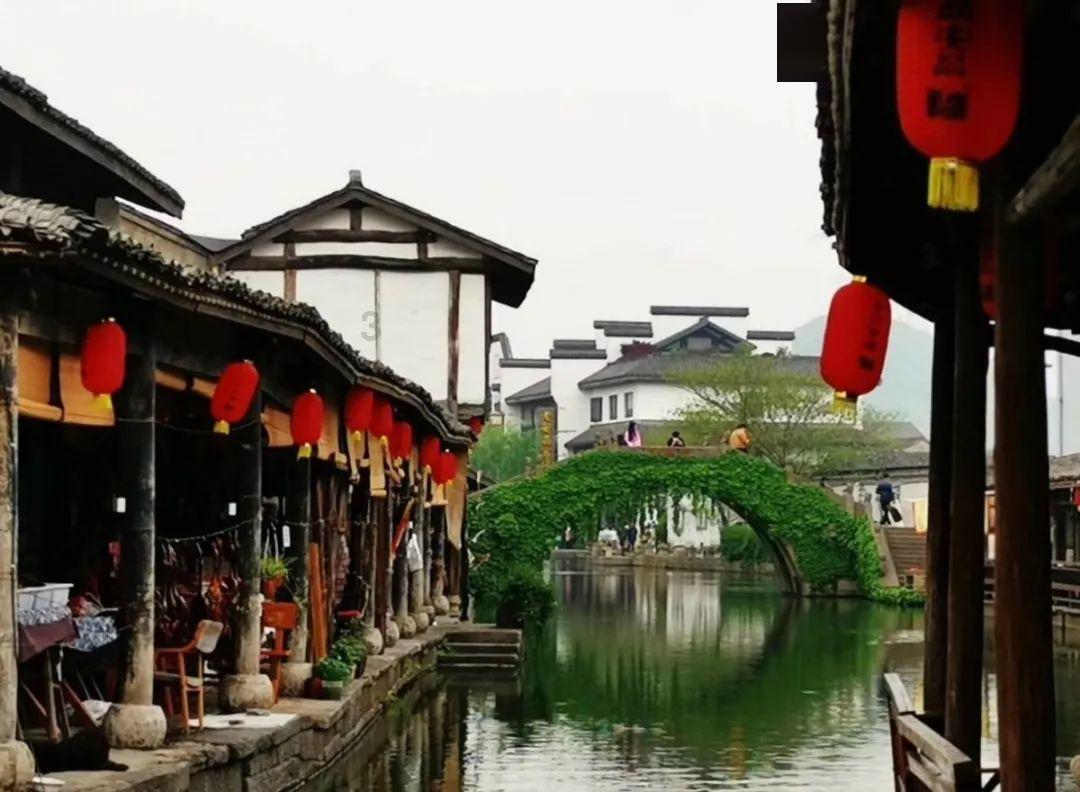 动物帮帮忙保卫家园