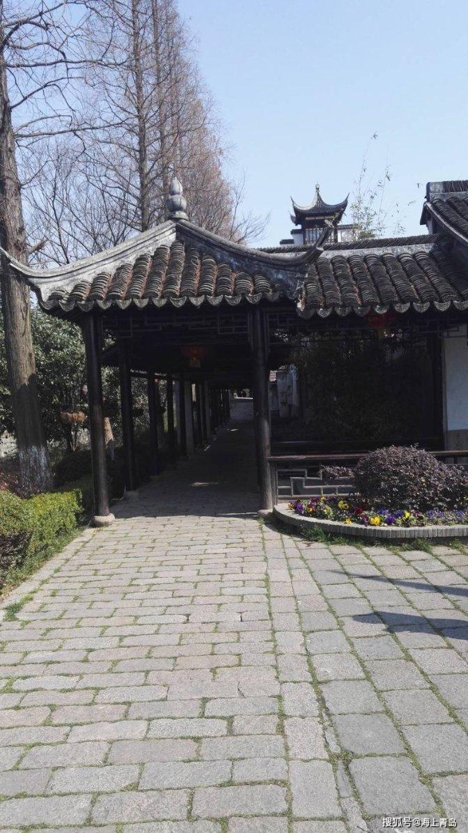 寻找丢失的婴儿